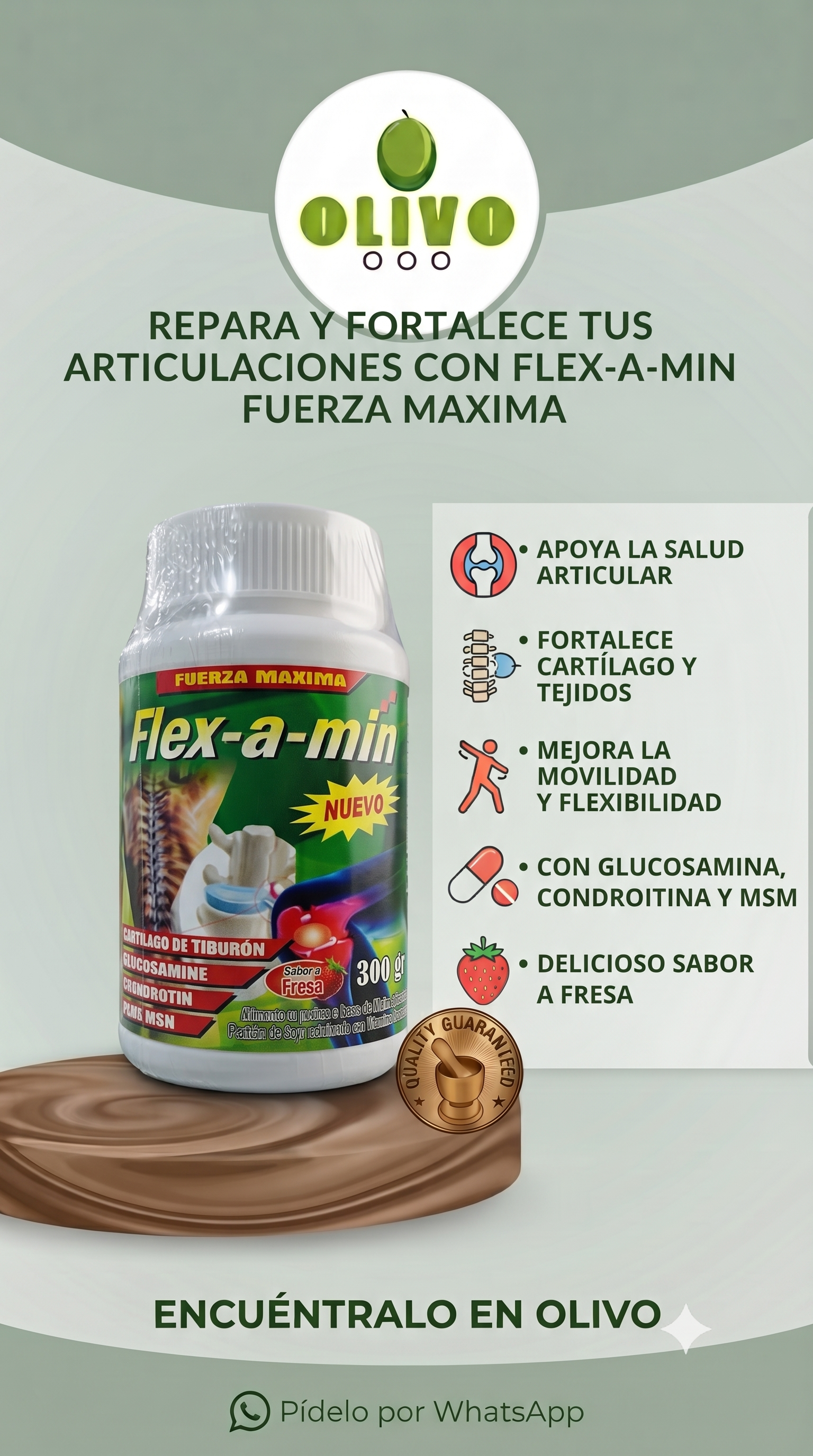 Flexamin Polvo 300gramos