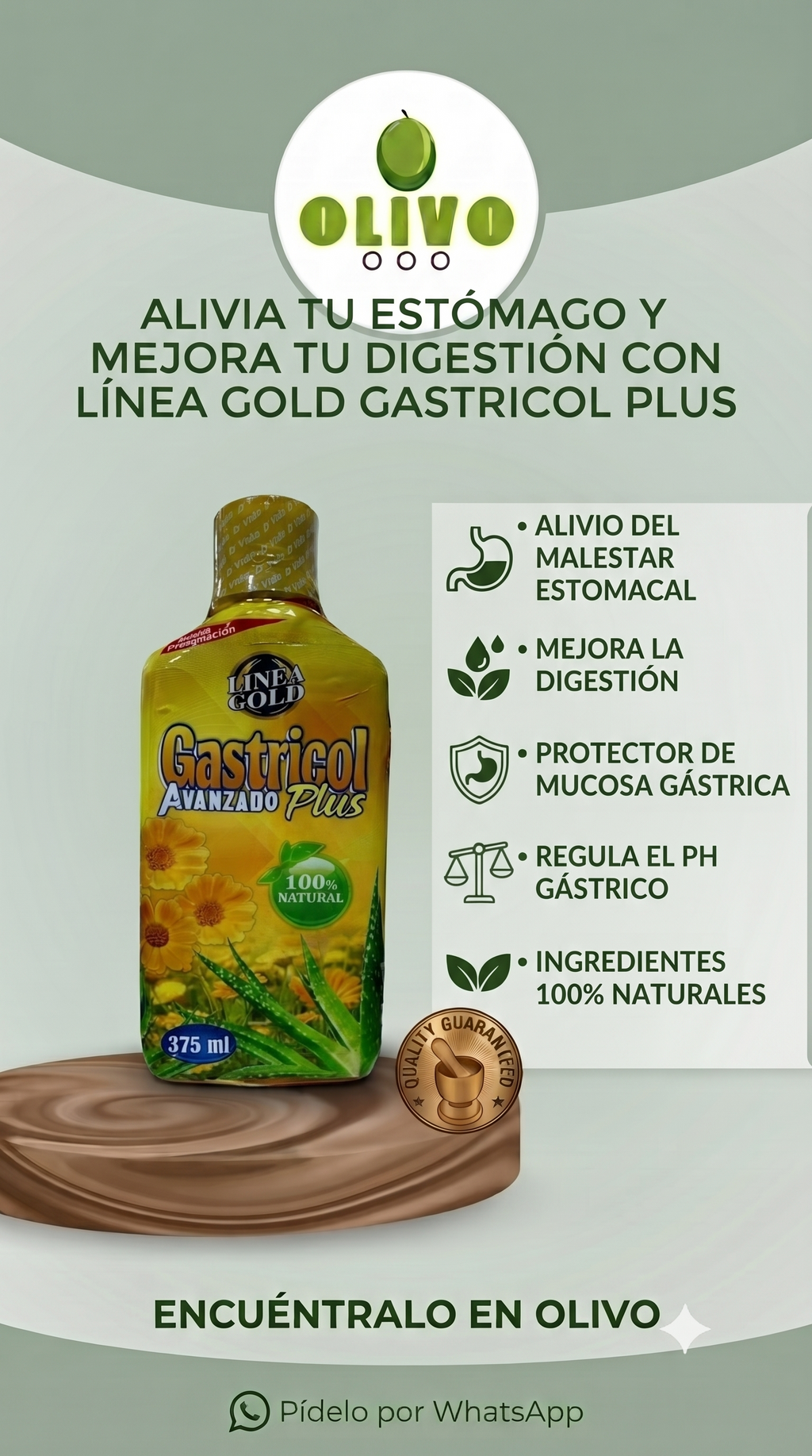 Jarabe Gastricol 360ml Avanzado Plus Importado