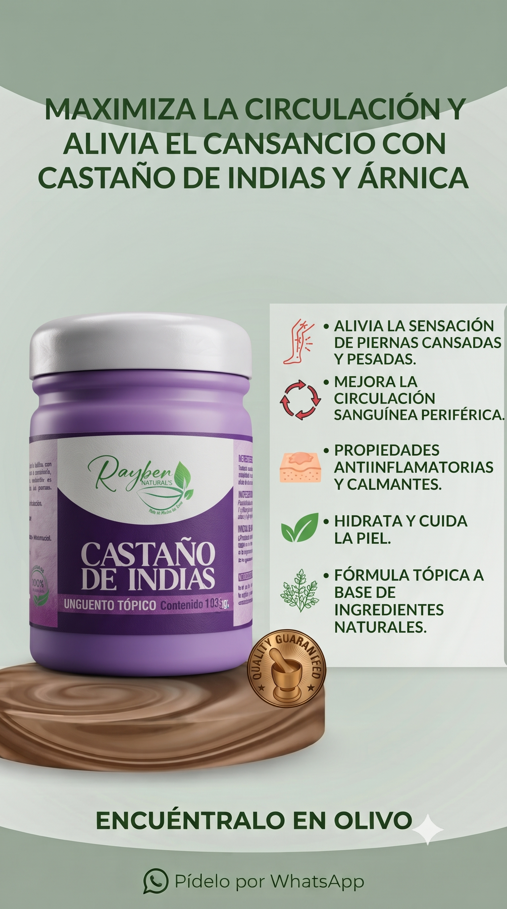 Castaña De Indias + Arnica Gel 103g