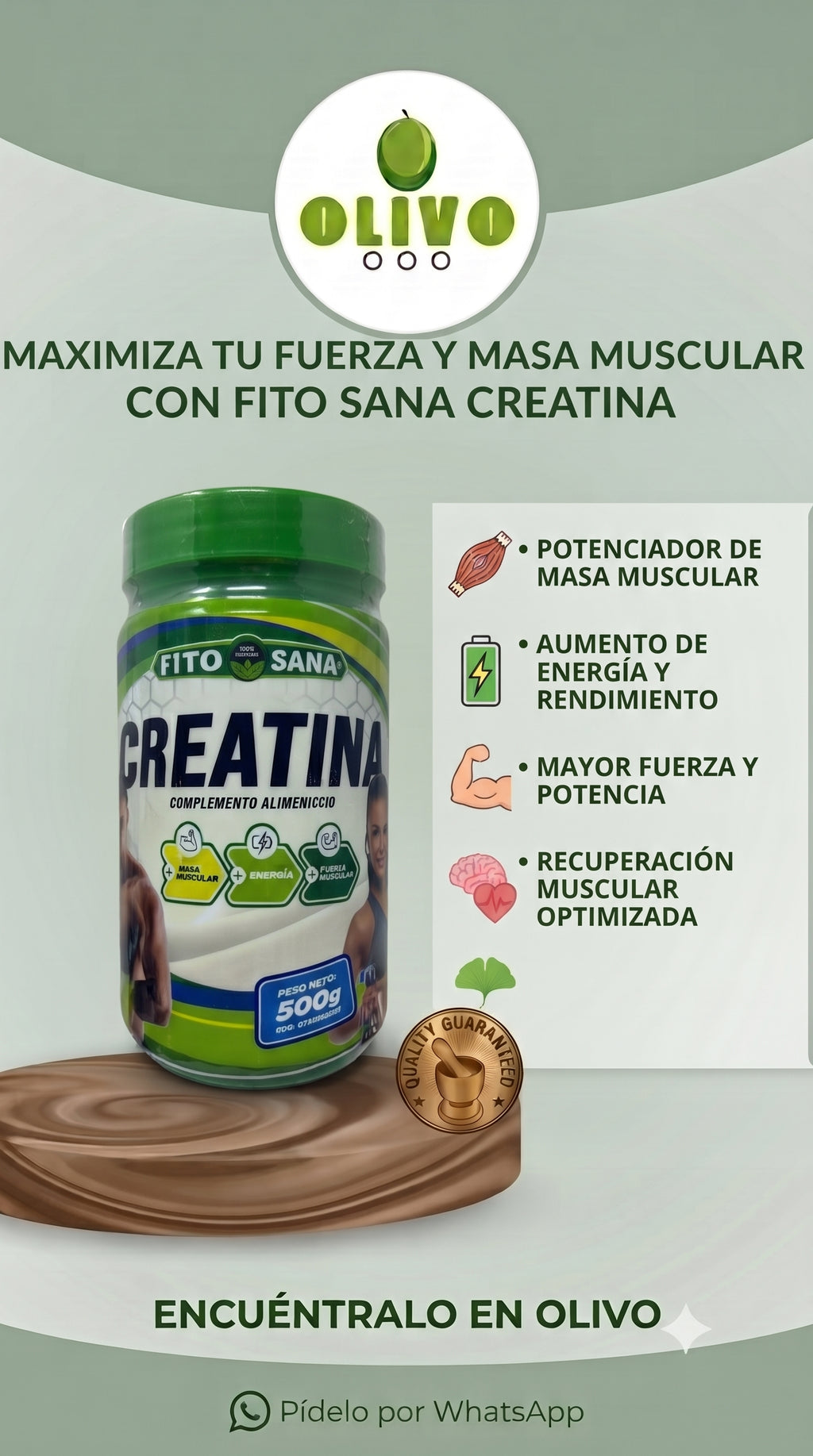 Creatine 500 G Fito Sana