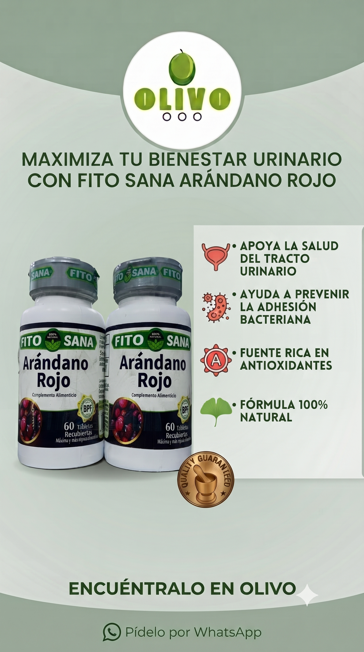 Arándano Rojo 120 Tabletas Pack Fito Sana Nacional