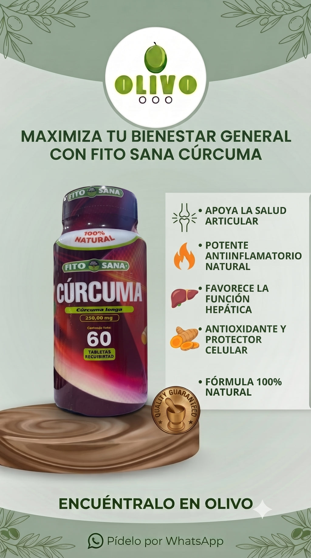 Curcuma 60 Tabletas Fito Sana