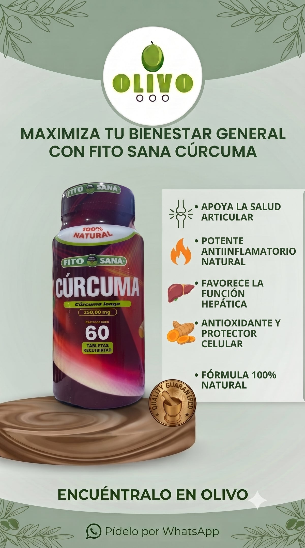 Curcuma 60 Tabletas Fito Sana