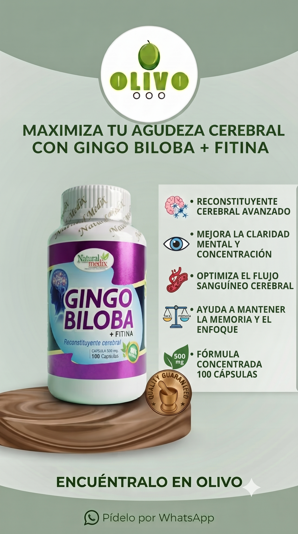 Gingo Biloba 100 Capsulas Natural Medix