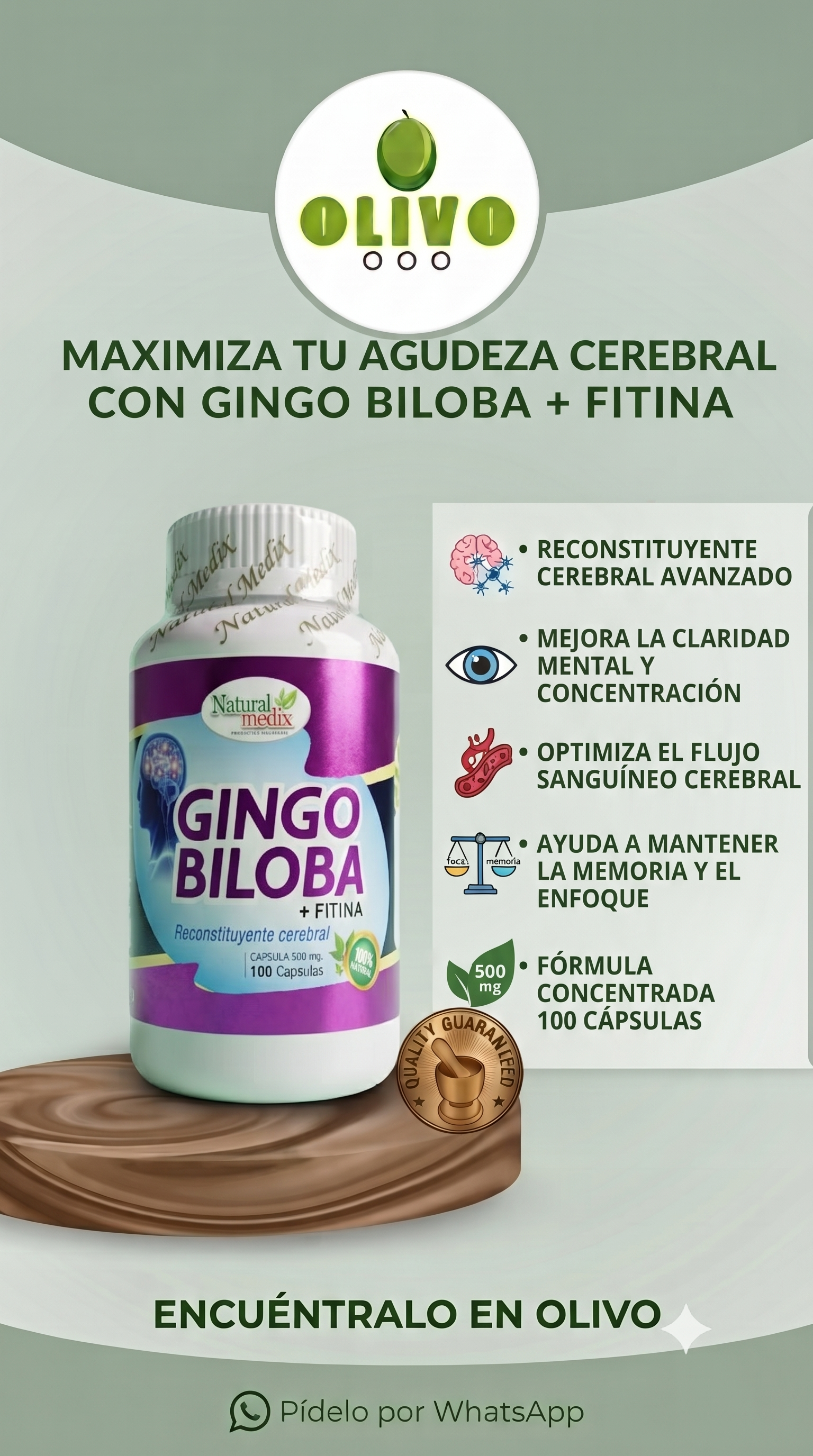 Gingo Biloba 100 Capsulas Natural Medix