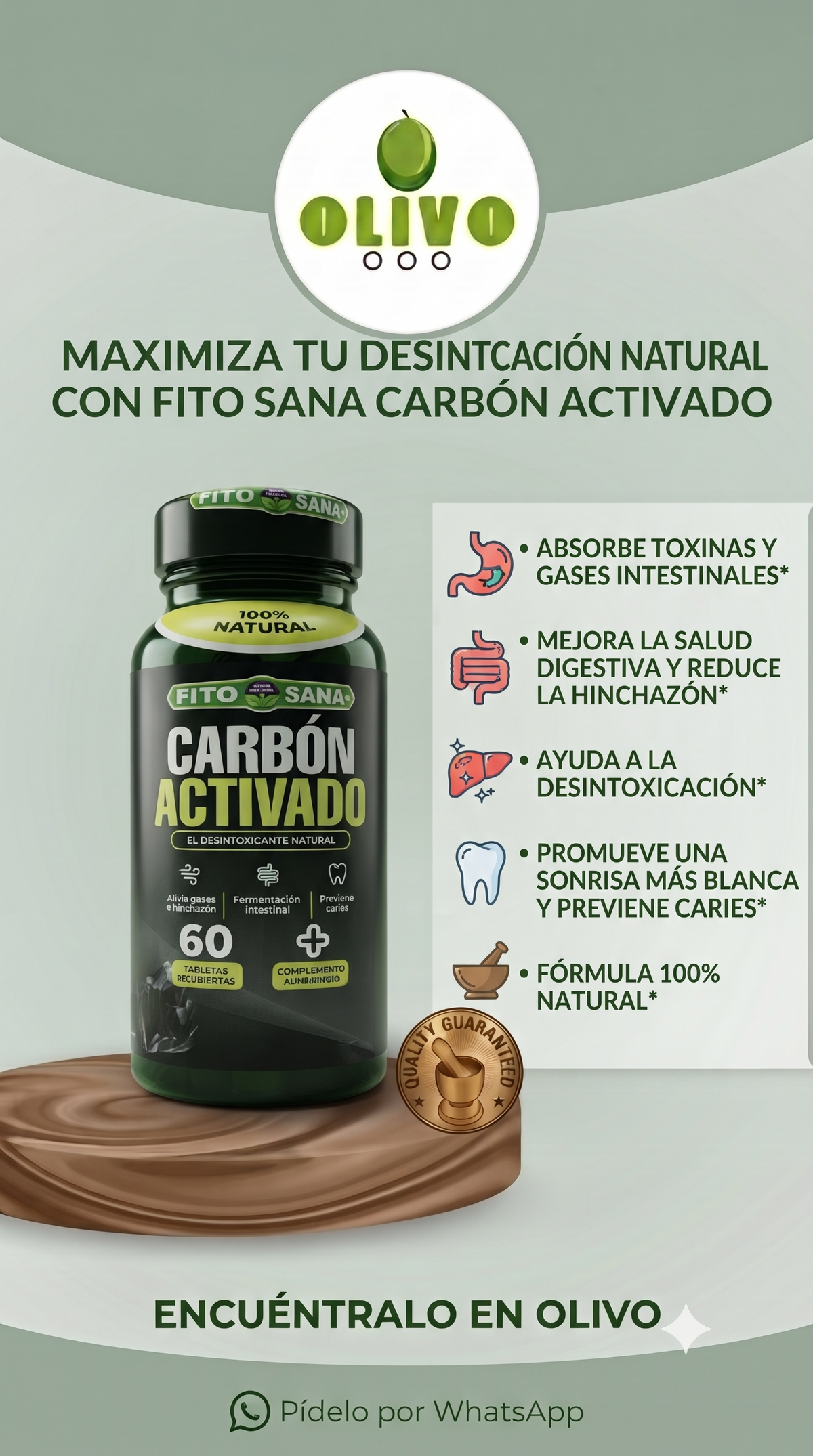 Carbón Activado 60 Tabletas Fito Sana Nacional