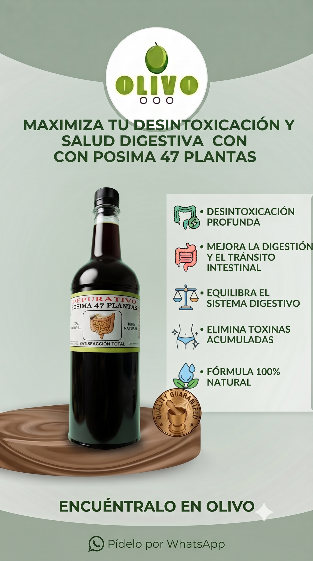 Depurativo Pócima 47 Plantas 1000ML