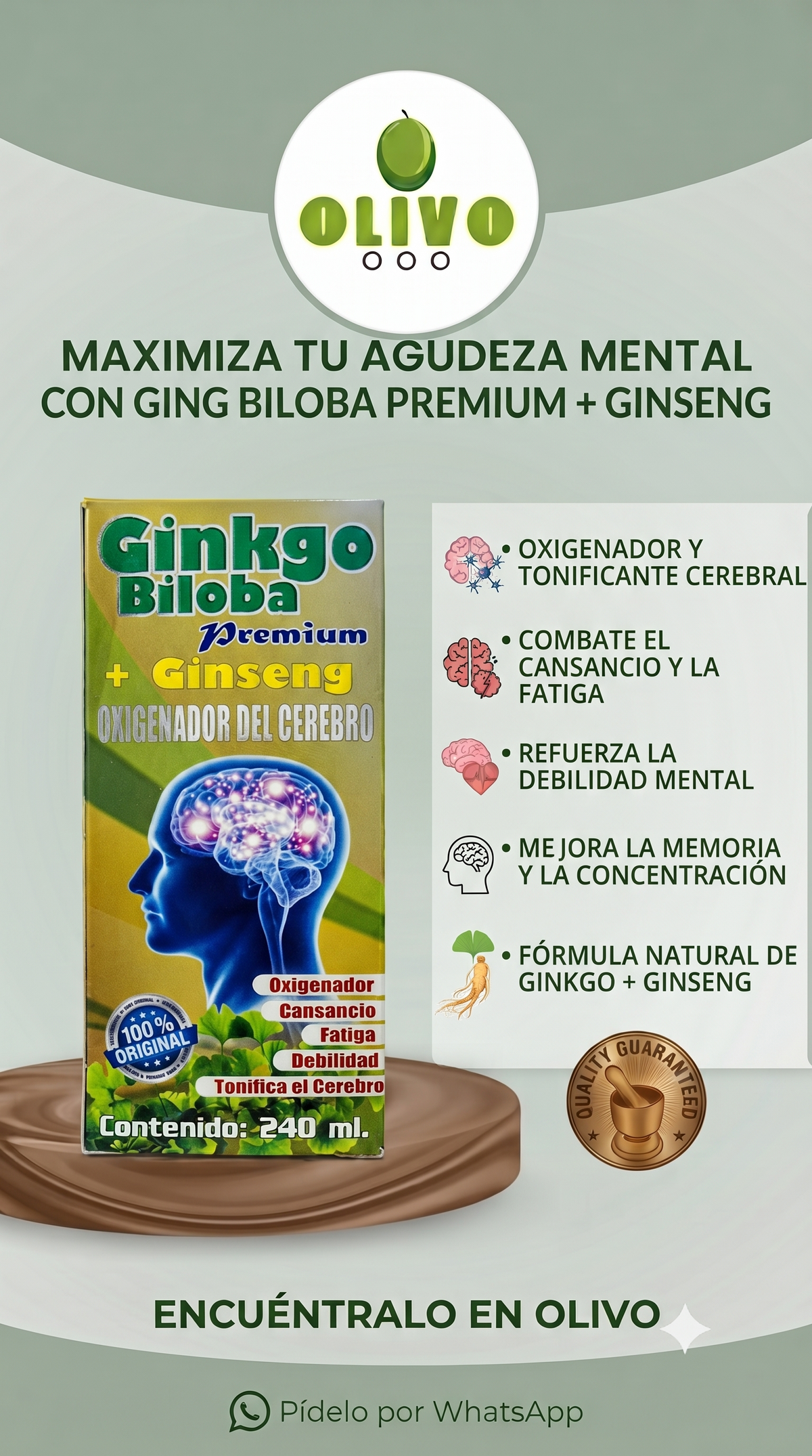 Ginkgo Biloba + Ginseng 240 ML