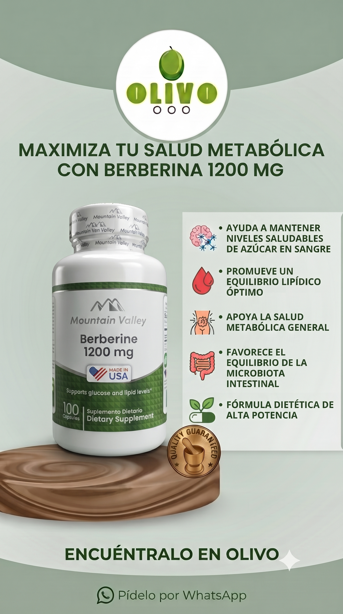 Berberina 100 Cápsulas 1200mg Importado