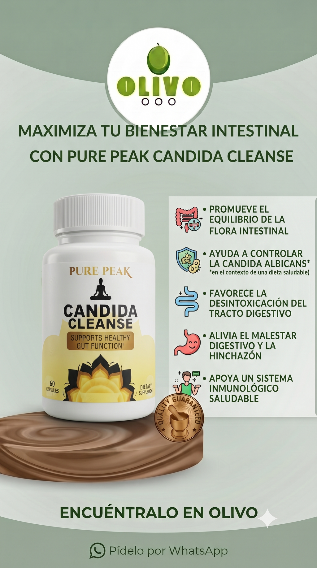 Candida Cleanse 60 Capsulas Importado