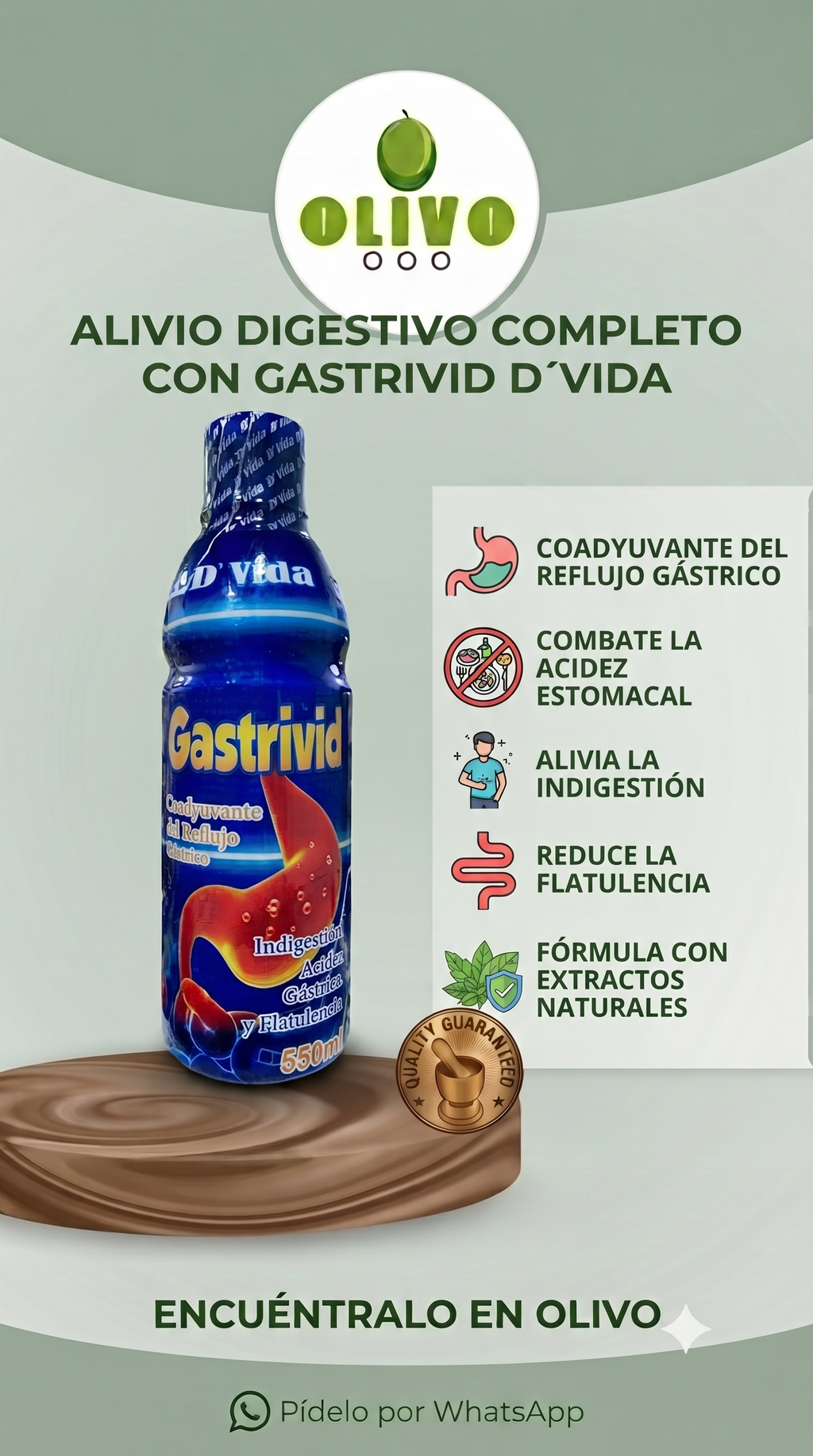 Depurativo Gastrivid 550 ML Importado