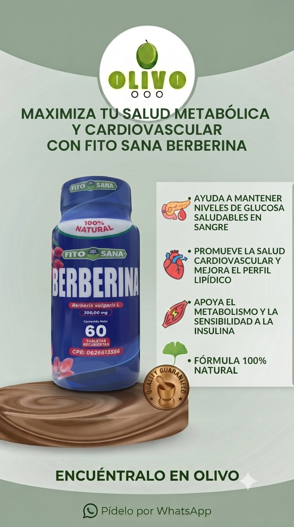 Berberina 60 Tabletas Fito Sana