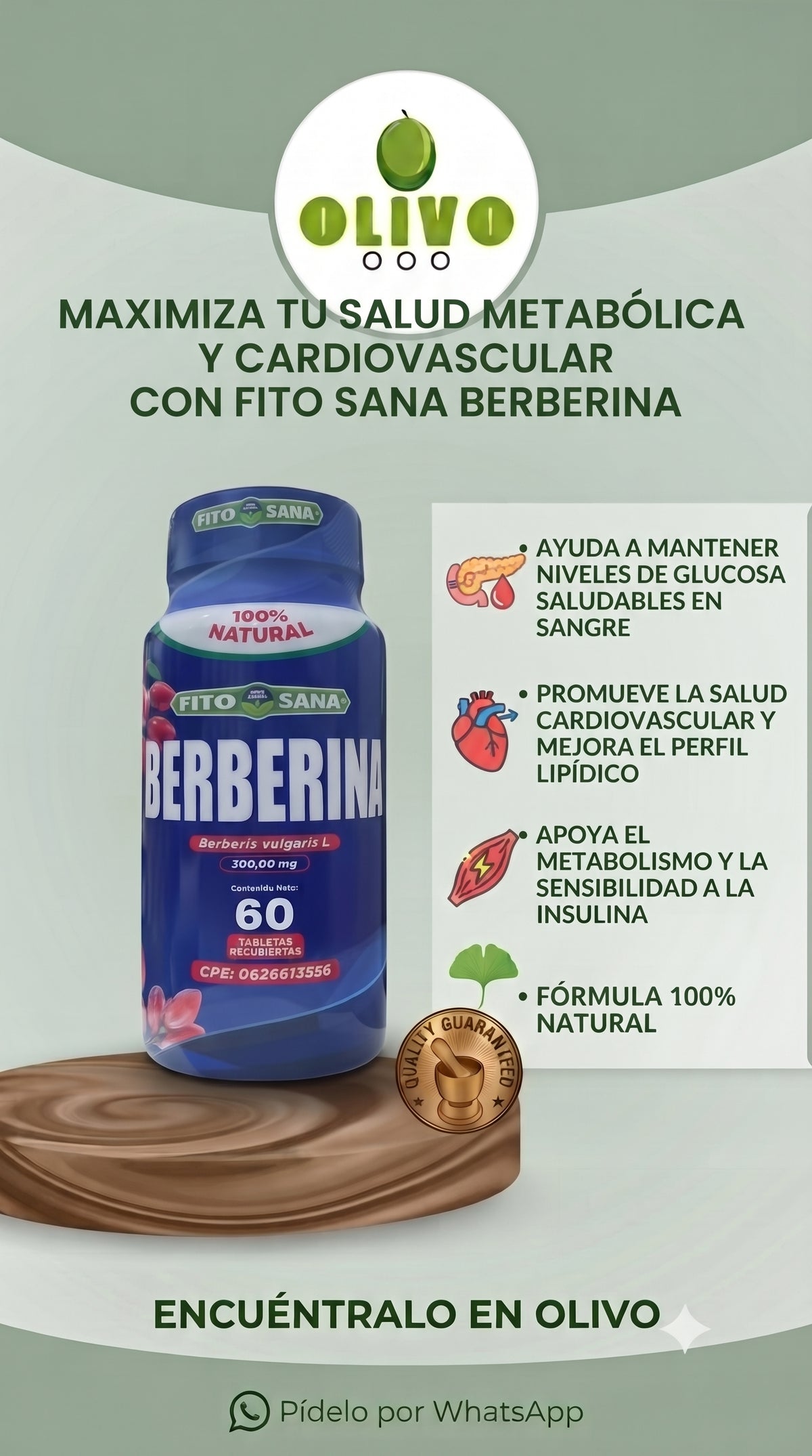 Berberina 60 Tabletas Fito Sana