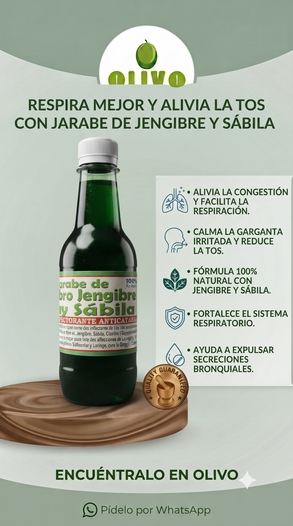 Berro/Gengibre/Sábila 3en1 350ml Nacional