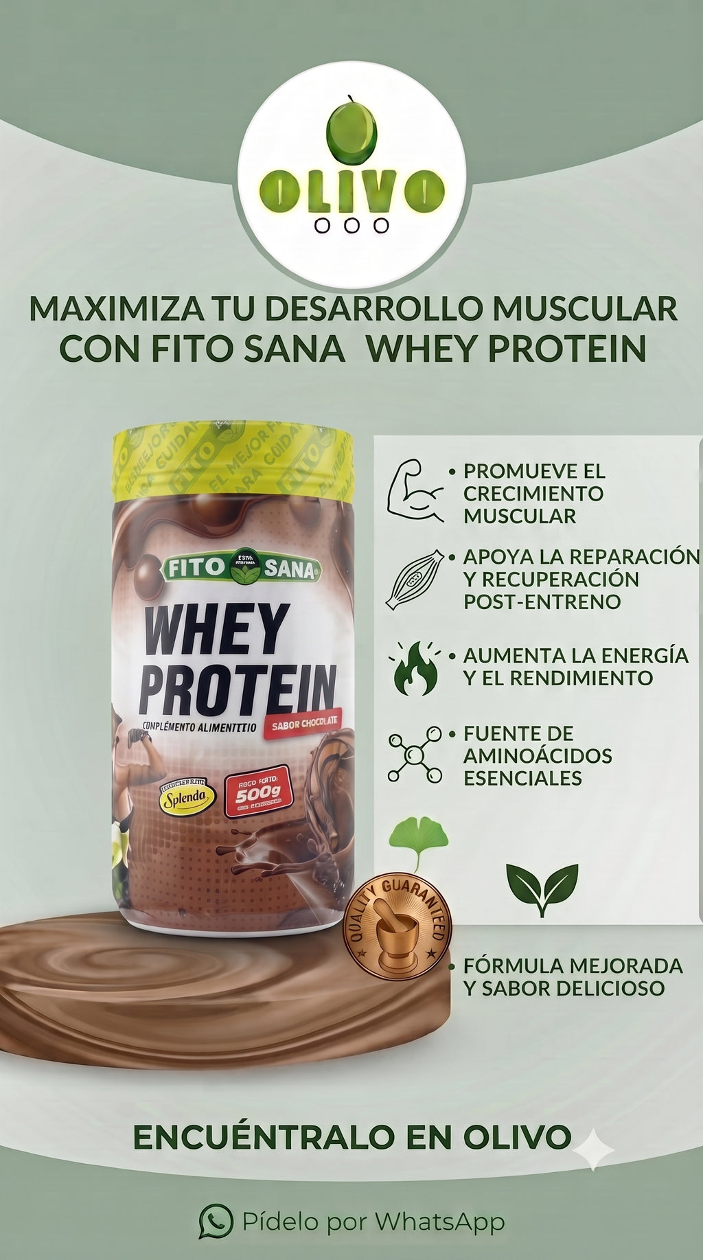 Whey Protein 500 g Fito Sana