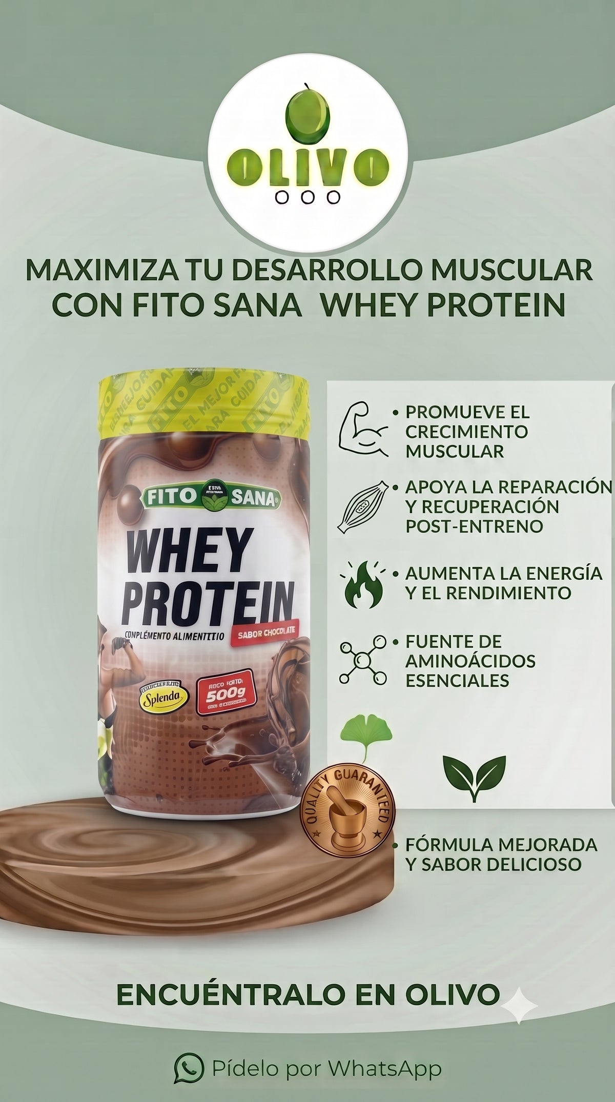 Whey Protein 500 g Fito Sana