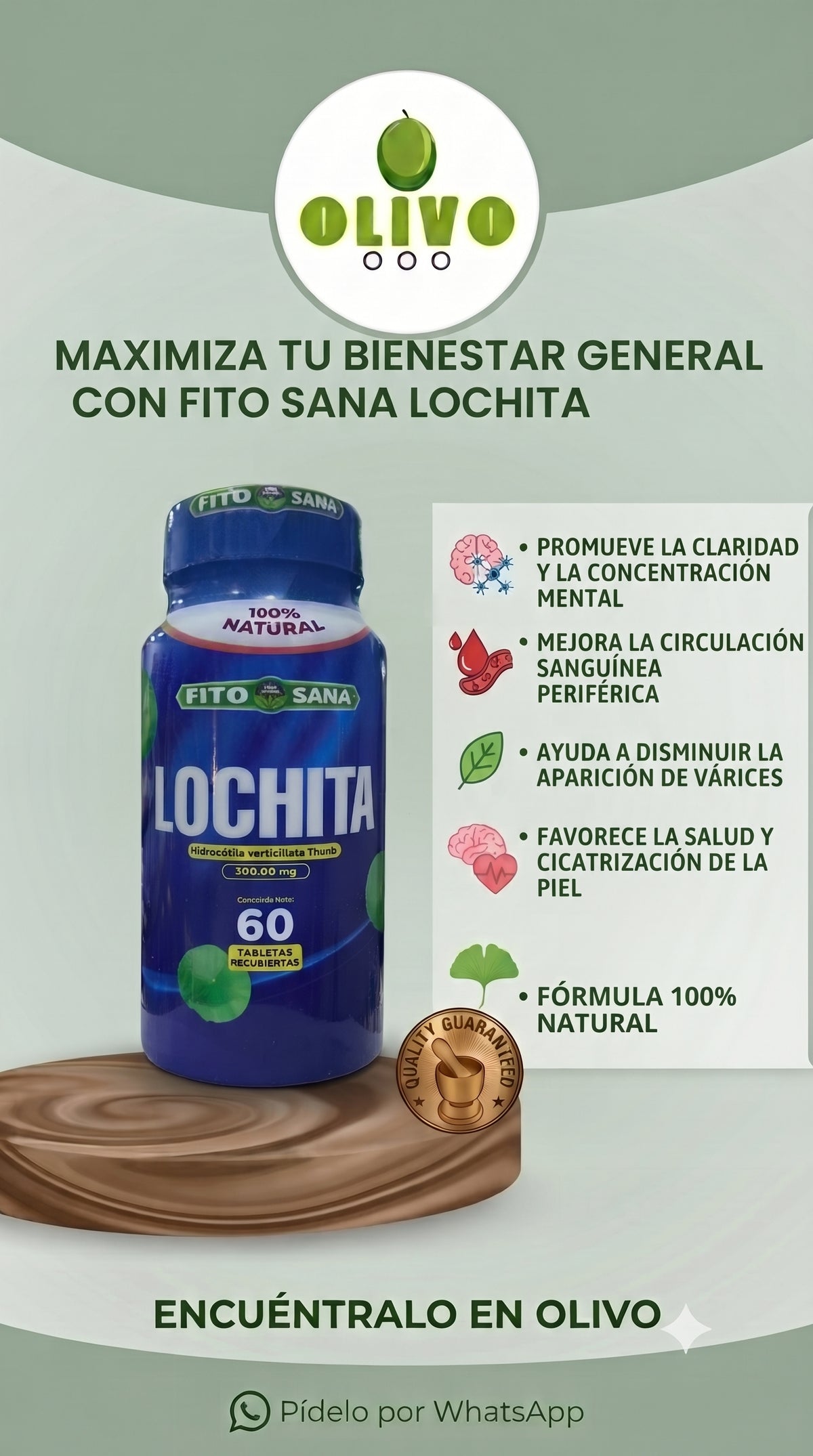 Lochita 60 Tabletas Fito Sana
