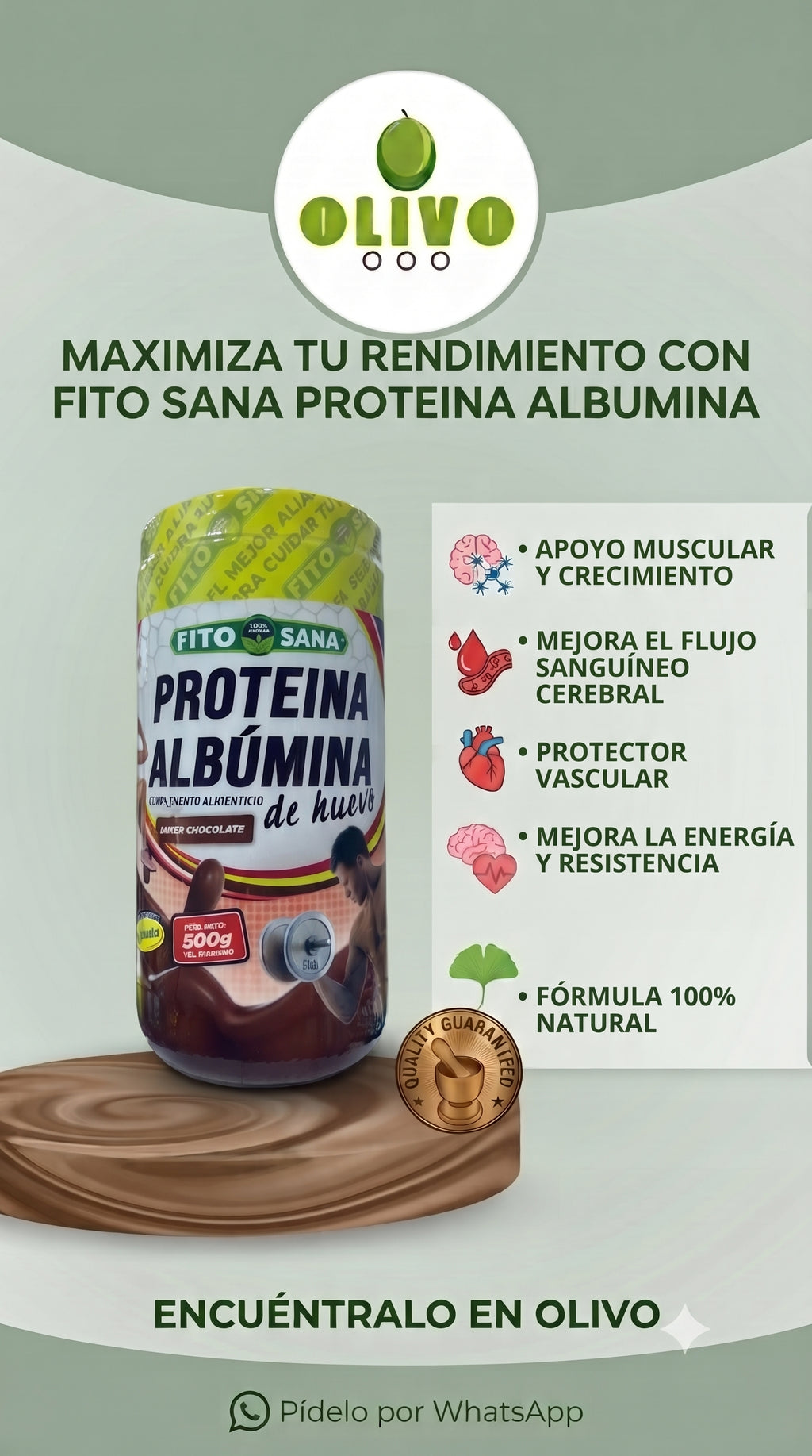 Proteina Albumina De huevo 500 G Fito Sana