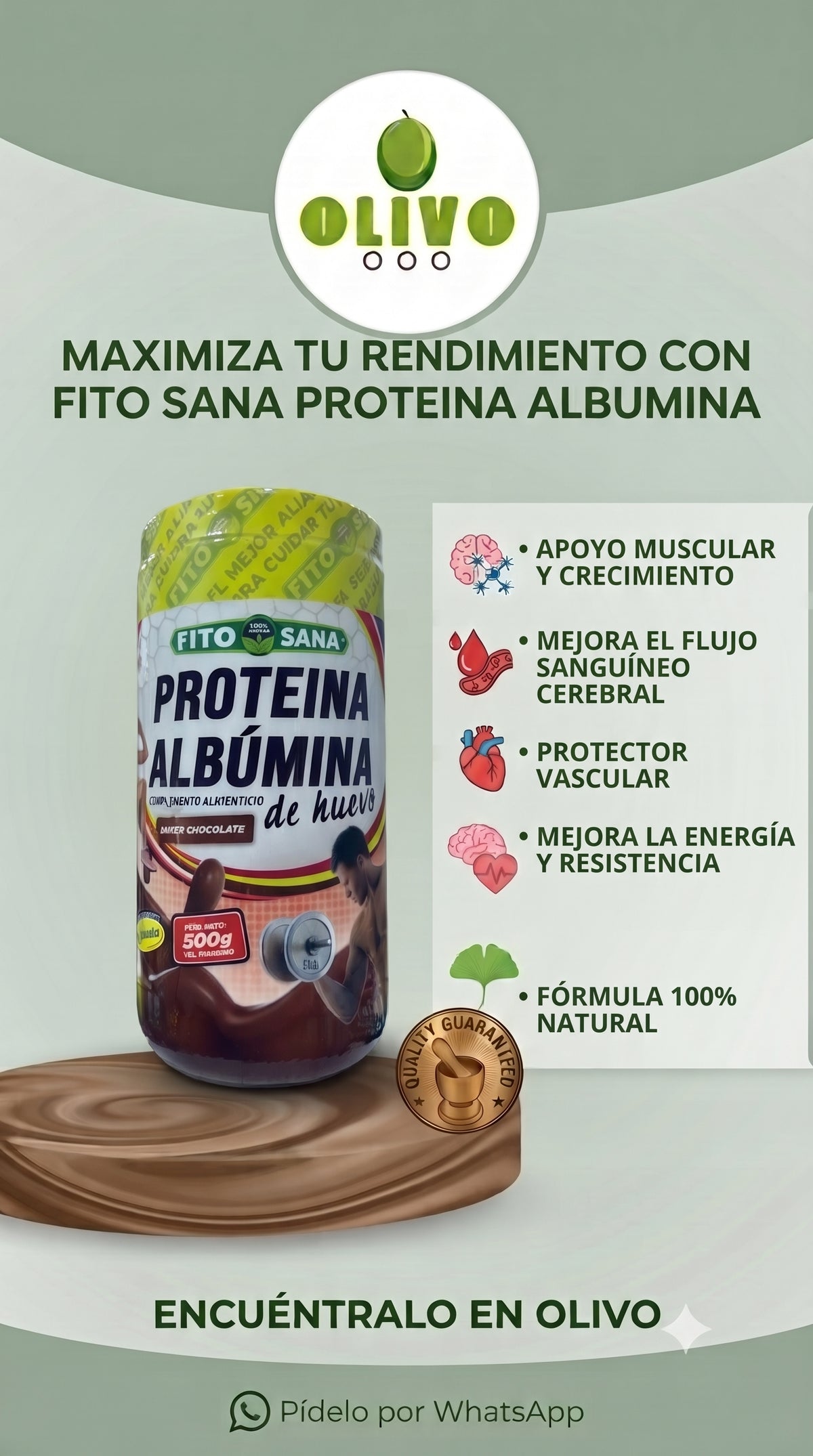 Proteina Albumina De huevo 500 G Fito Sana