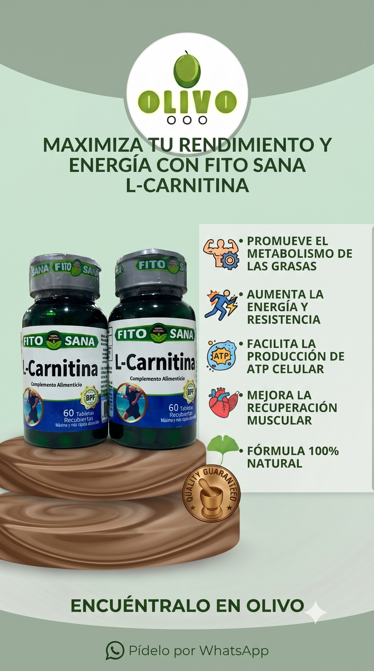 L - Carnitina 120 Tabletas Fito Sana Nacional