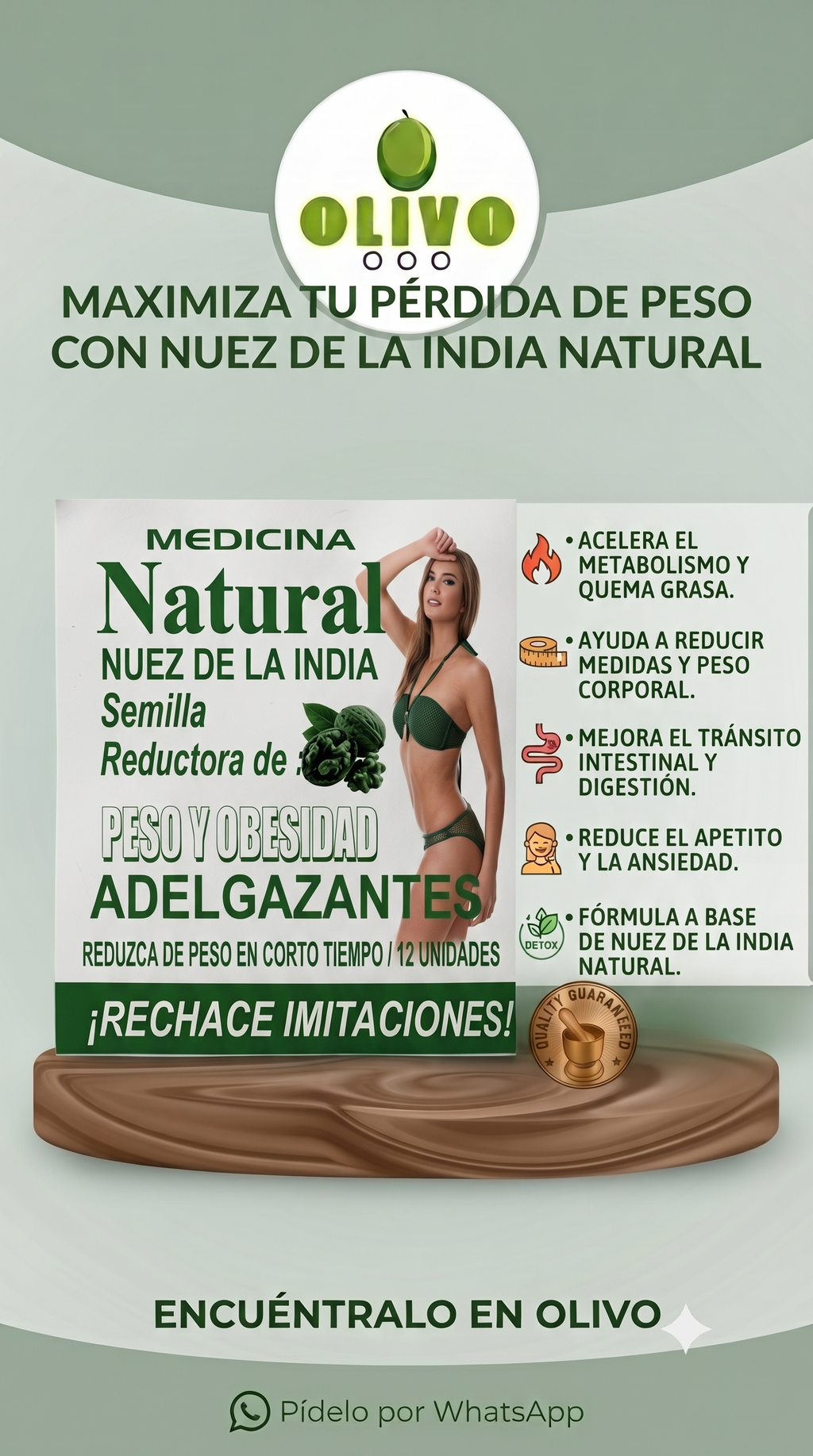 Nuez De La India Semilla indu