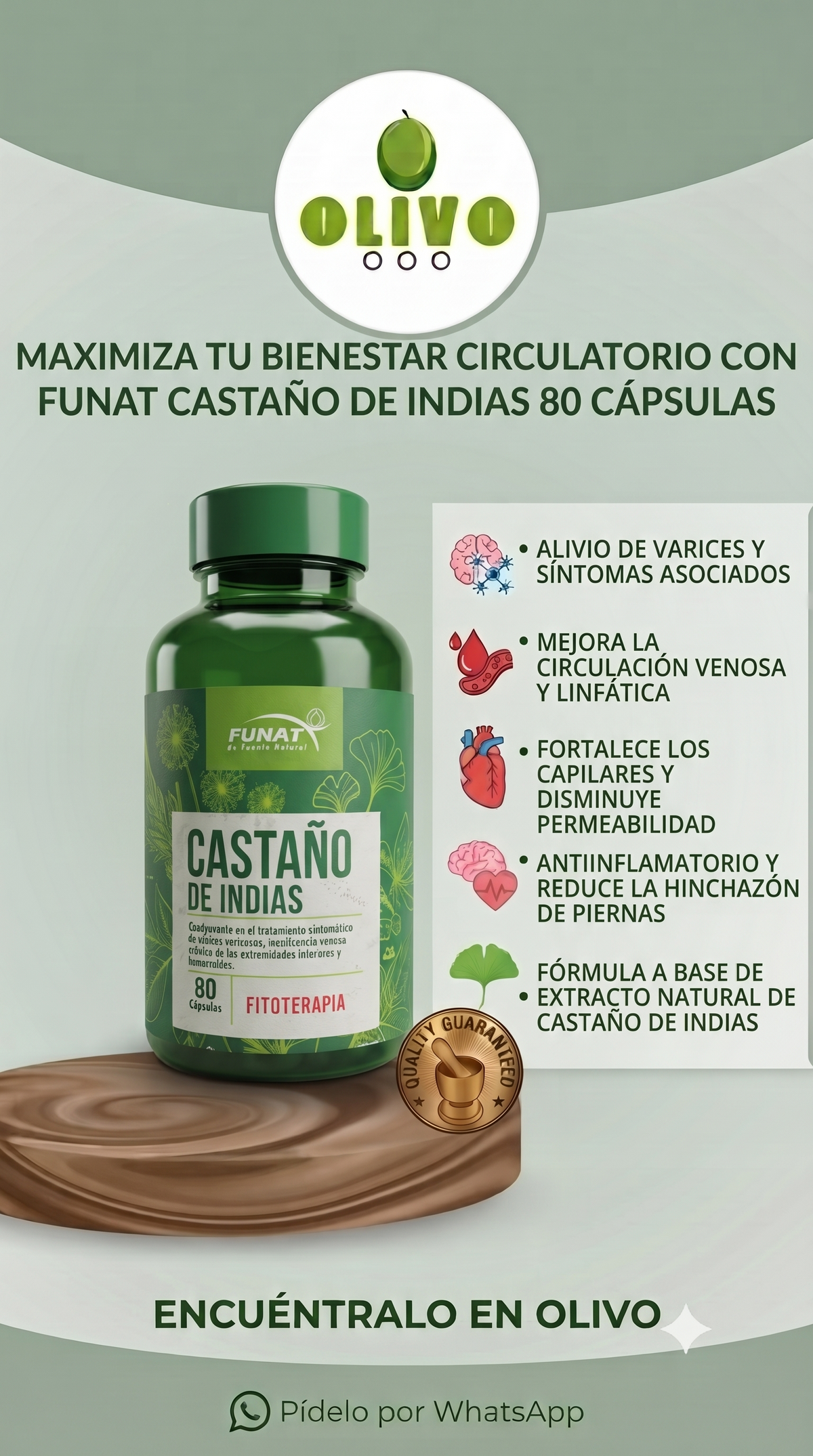 Castaña De Indias 80 Capsulas Funat Importado