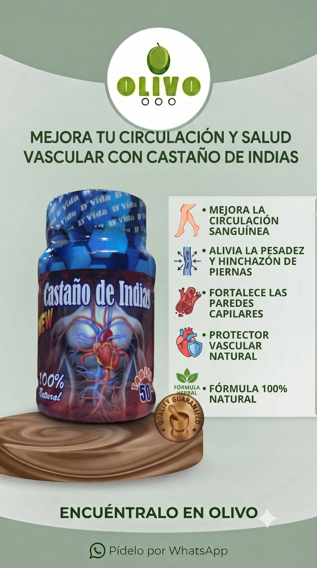 Castaño De Indias 50 Tabletas