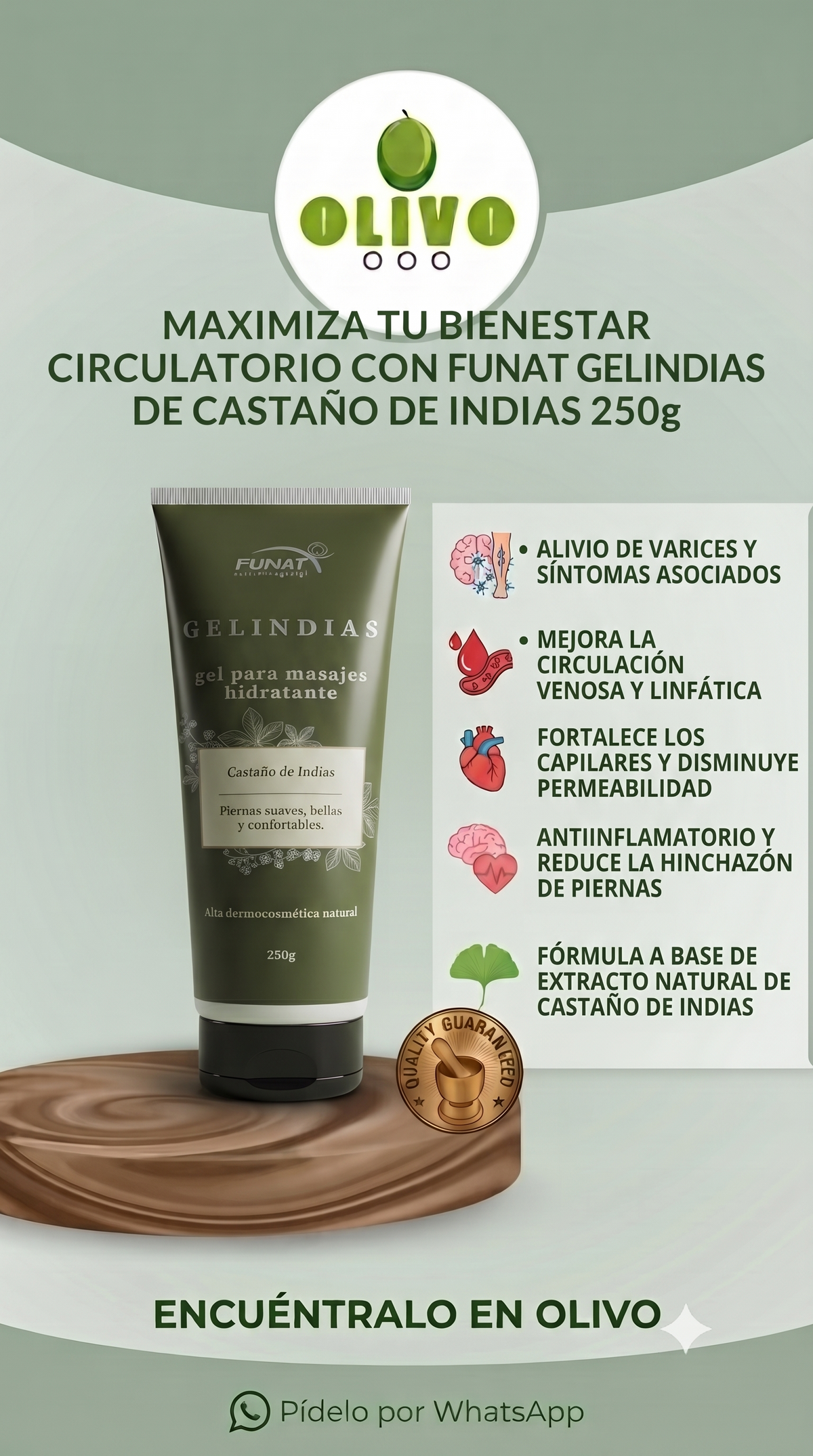 Castaña De Indias Gel 250 gr Funat Importado