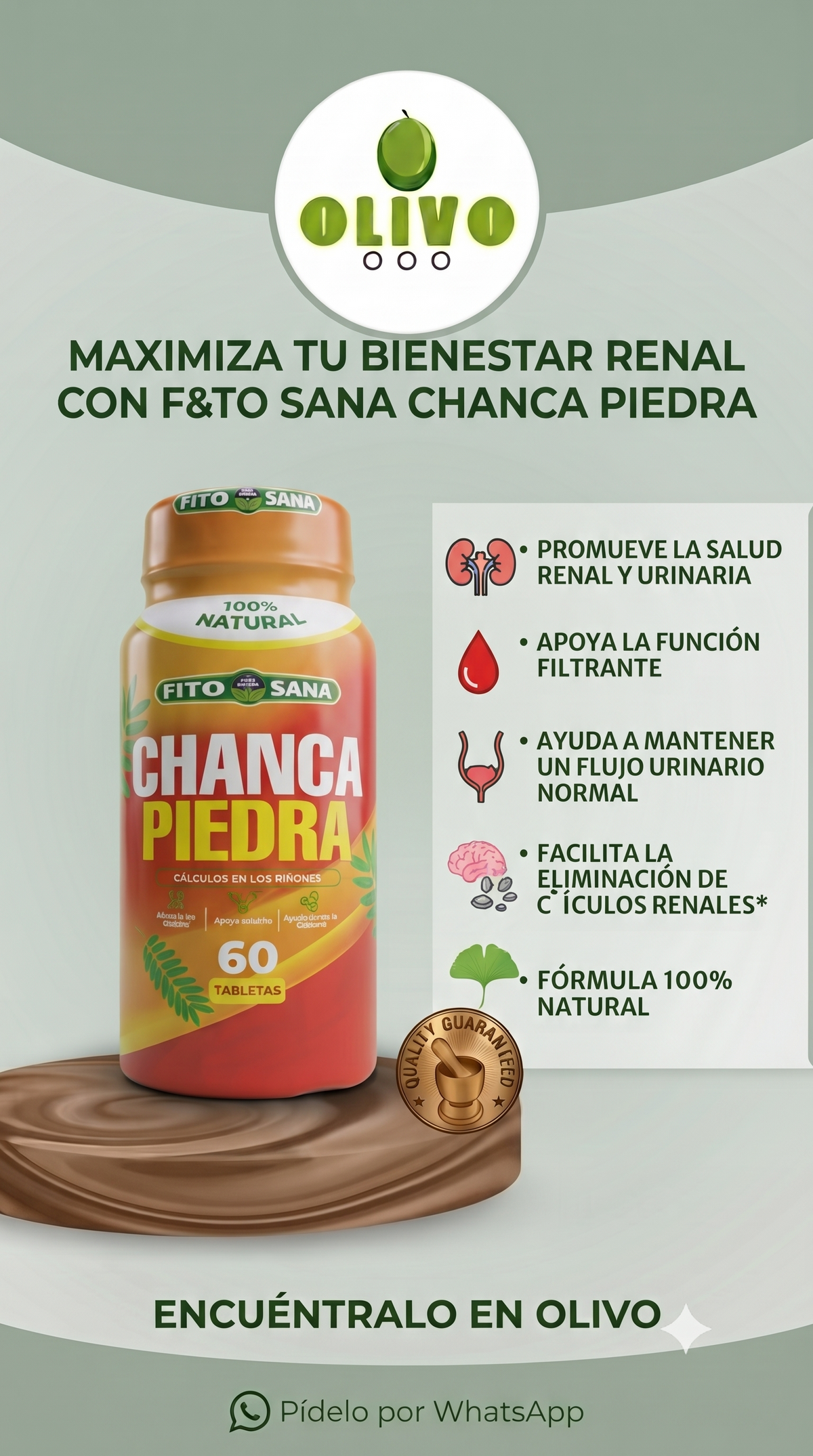 Chanca Piedra 60tab Fito Sana Nacional