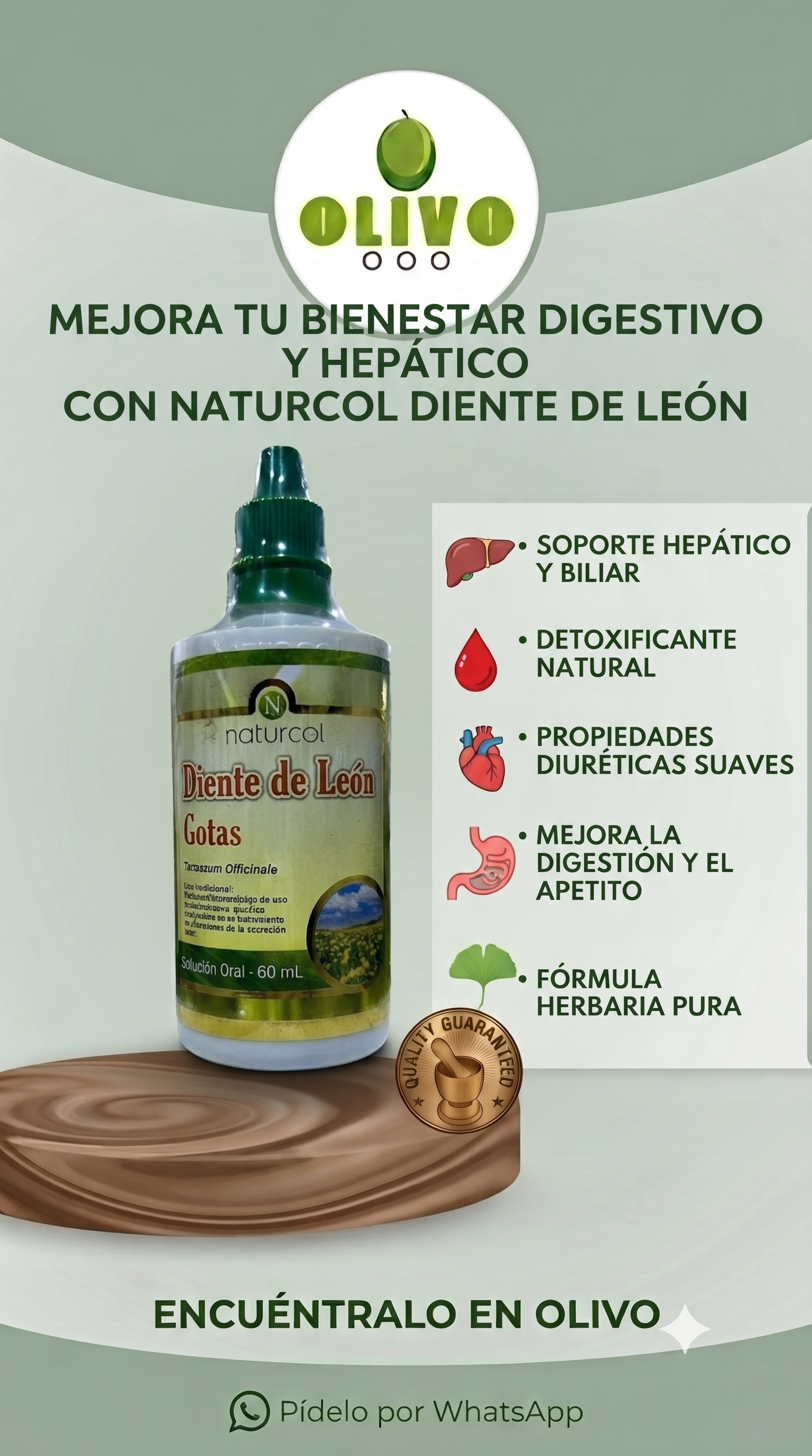 Diente Leon Gotas 60 ml