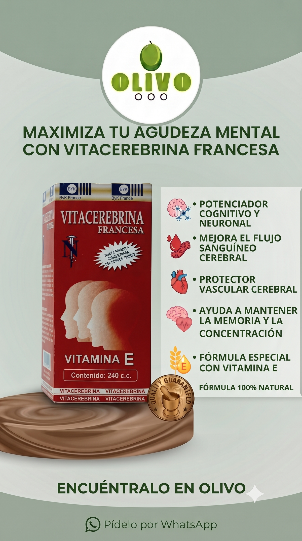 Vitacerebrina 240 ML